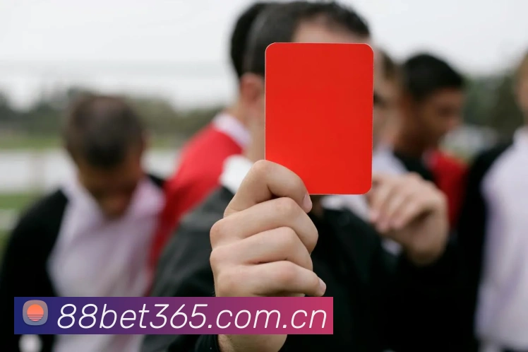 bet365中国官网服务体系